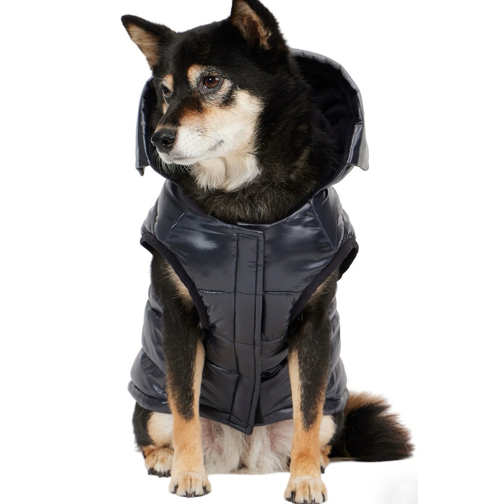 Miles Multi Quilted Coat with Reflective Visor for Dogs medium